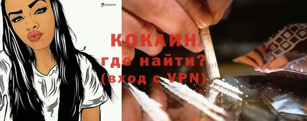 прущие грибы Богданович