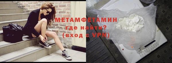 прущие грибы Богданович