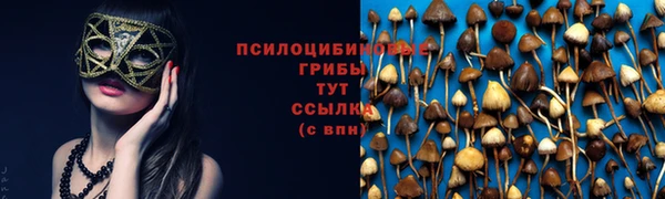гидропоника Богородск
