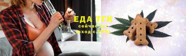 индика Беломорск