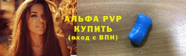 прущие грибы Богданович