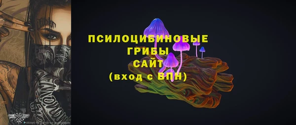 спиды Белокуриха