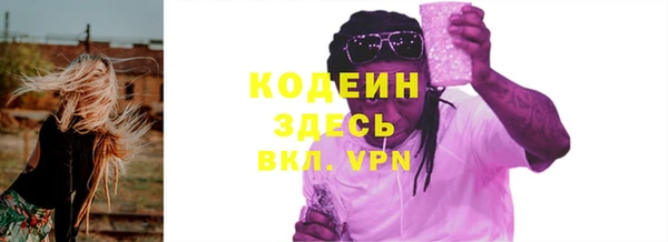 индика Беломорск
