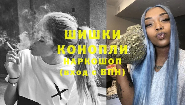 прущие грибы Богданович