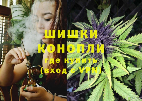 гидропоника Богородск