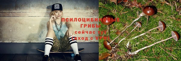 а пвп мука Богородицк
