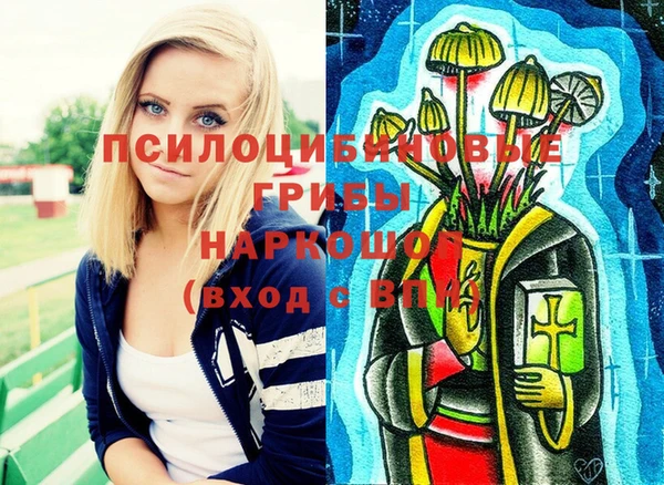 прущие грибы Богданович