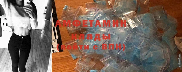индика Беломорск