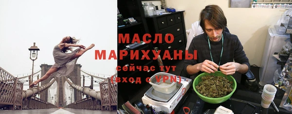 индика Беломорск