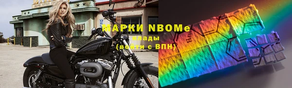 прущие грибы Богданович